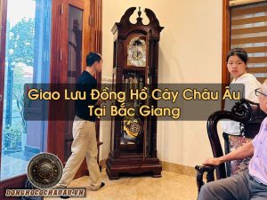 Đồng Hồ Cây Tại Bắc Giang