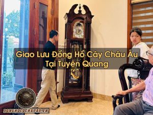 Đồng Hồ Cây Tại Tuyên Quang