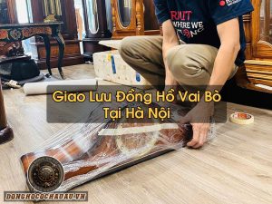 Đồng Hồ Vai Bò Tại Hà Nội